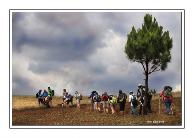 IMG_7515 kim site.jpg